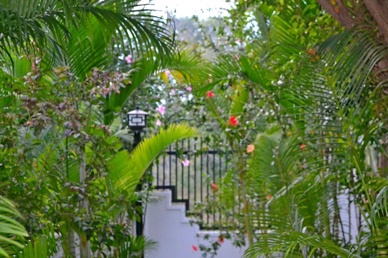 Nature Boutique Residence Siem Reap Exteriér fotografie